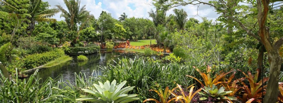 Naples botanical gardens