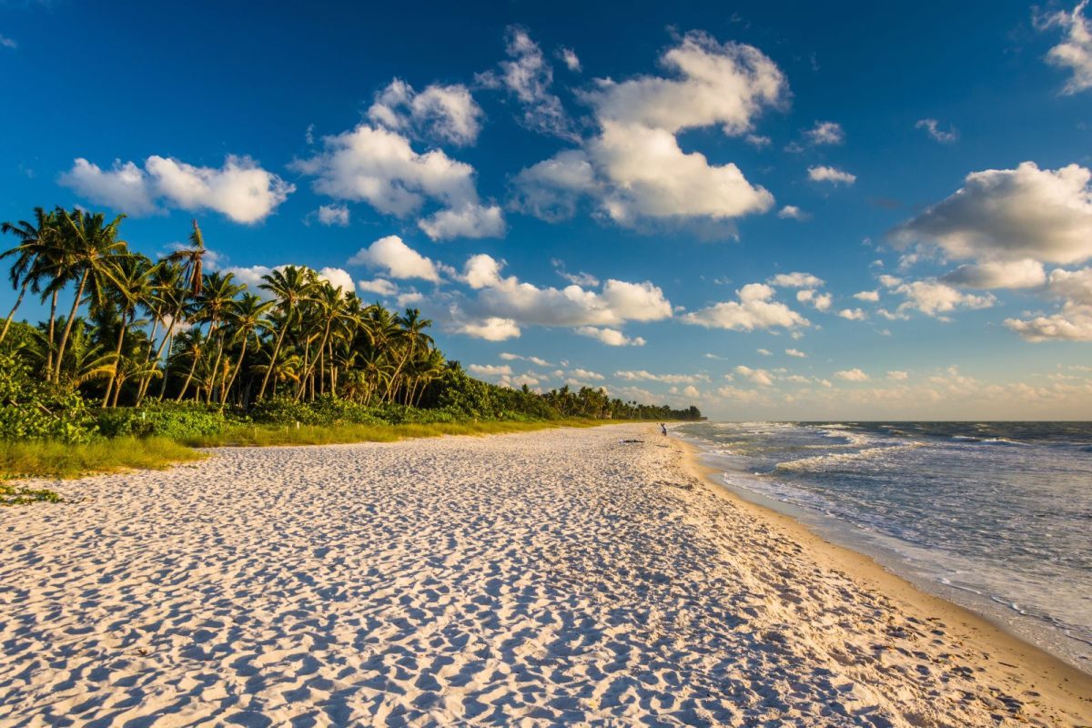 beach in Naples, FL