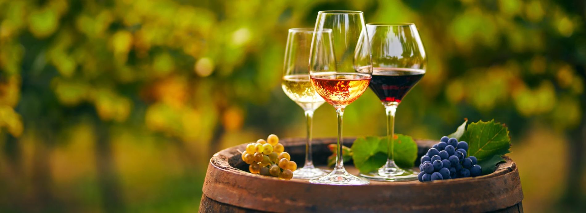 Variety of wines sitting on a barrel at vineyard