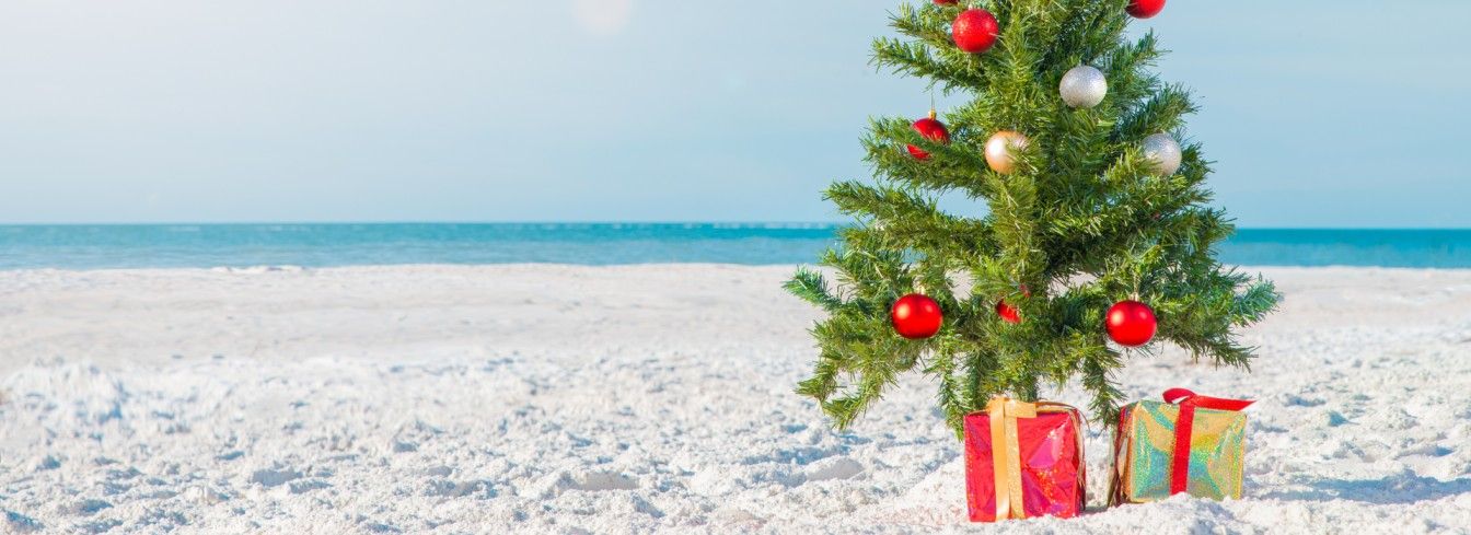 Christmas tree on white sand beach