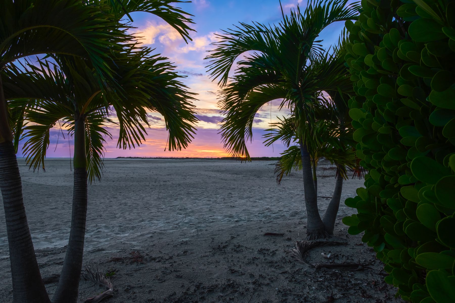 Estero Island