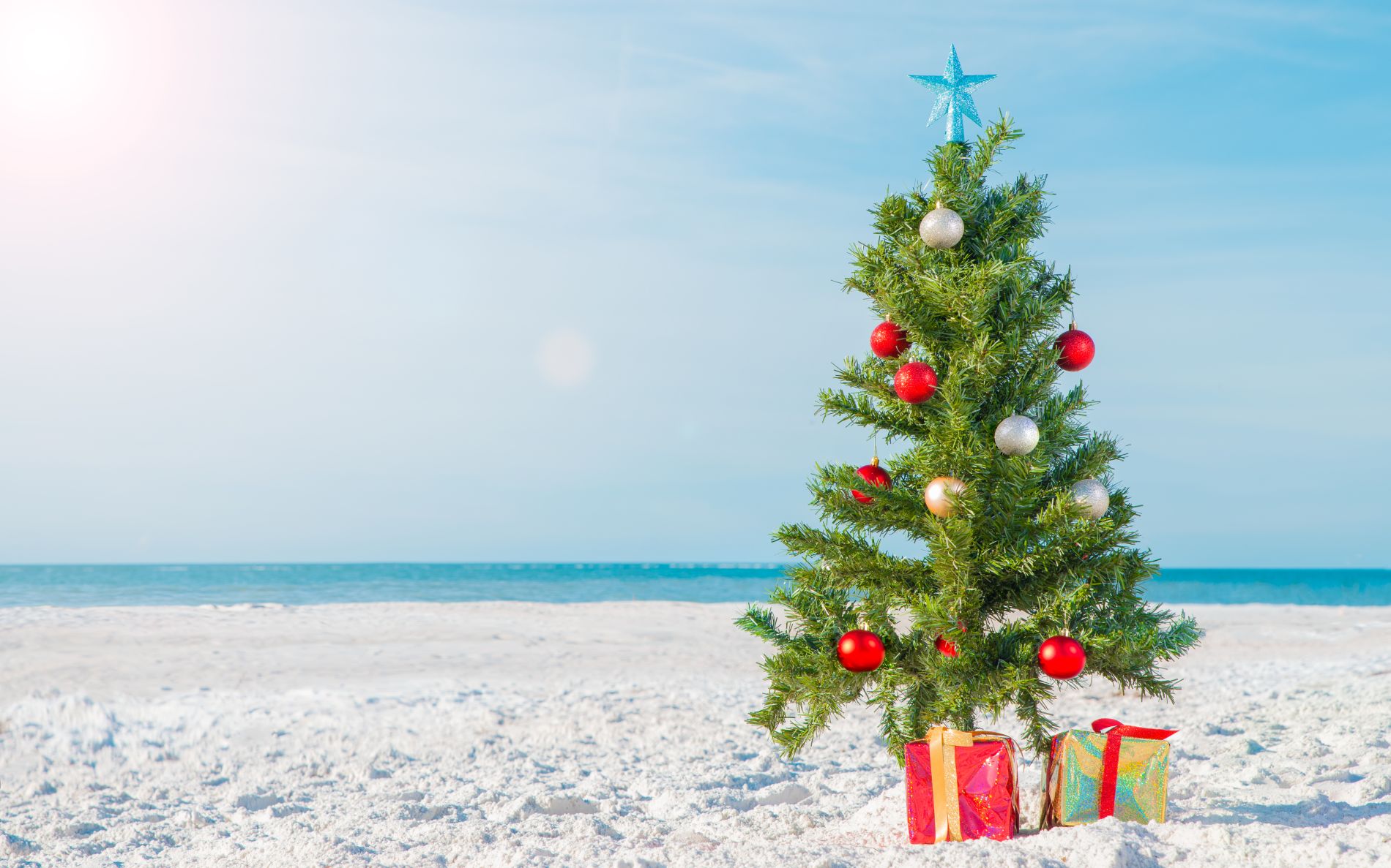 Christmas tree on beach