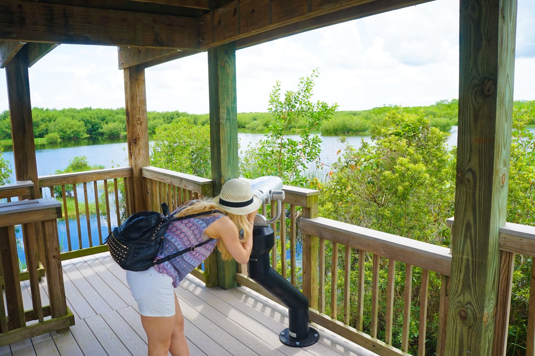 Exploring Ten Thousand Islands in the Everglades